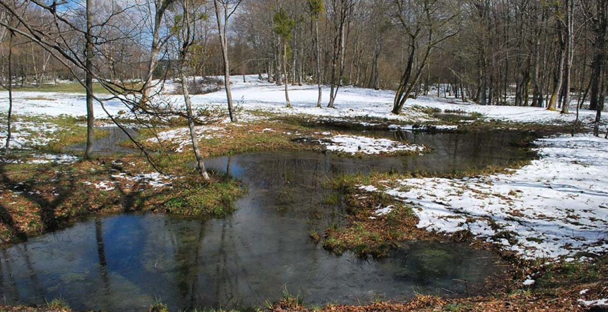 Miklavž na Gorjancih