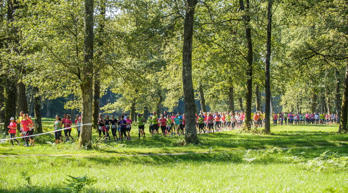 Zadnjih 10 nasvetov pred začetkom Triglav teka