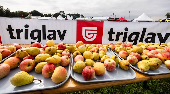 Koliko ogljikovih hidratov res potrebujete med tekom?